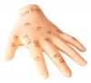 Chinesisches Akupunkturmodell Hand, Länge 8 cm