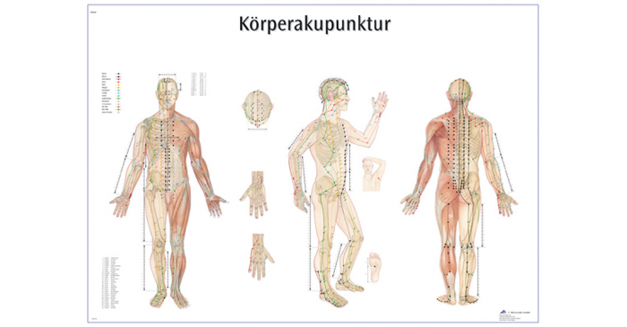 Laminierte Wandtafel Körperakupunktur von Seirin, Ansicht der Akupunkturpunkte und Meridiane von vorn, seitlich und hinten