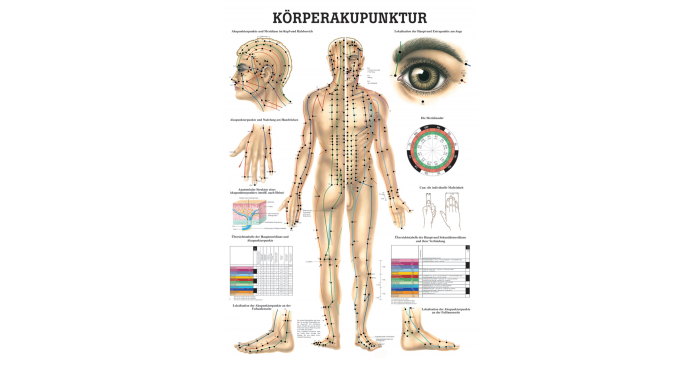 Körperakupunktur Lehrtafel 70 x 100 cm 